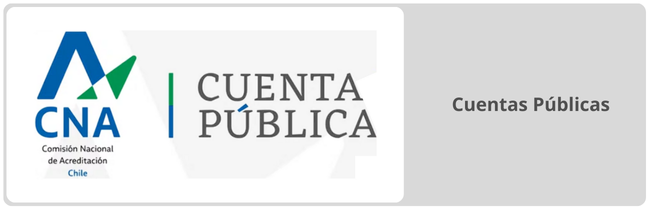 Botón Cuentas Públicas.png